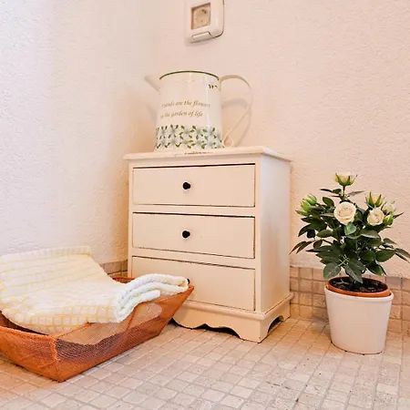 Paladini Apartmán Novigrad Istria