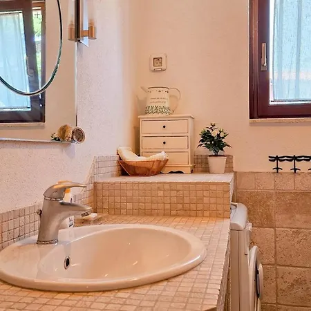 Paladini Novigrad Istria